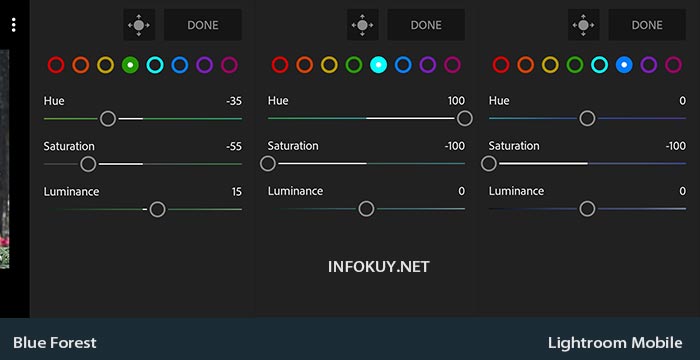 Rumus Lightroom Selebgram